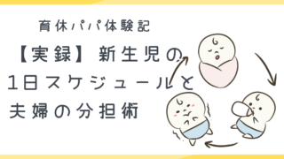 【実録】新生児の1日スケジュールと夫婦の分担術｜育休パパ体験記